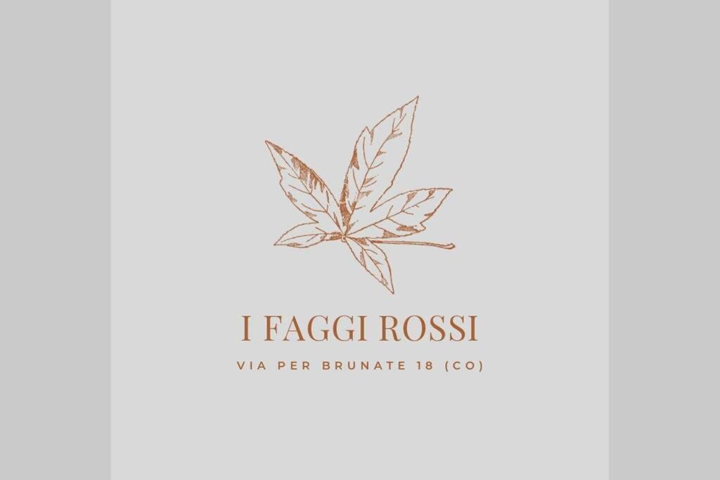 I Faggi Rossi - Red Beech Trees *