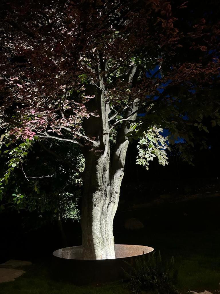 Ferienhaus I Faggi Rossi - Red Beech Trees Como