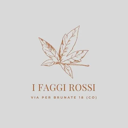 I Faggi Rossi - Red Beech Trees Villa Como Exterior photo
